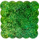 the round top collection boxwood scallop display board