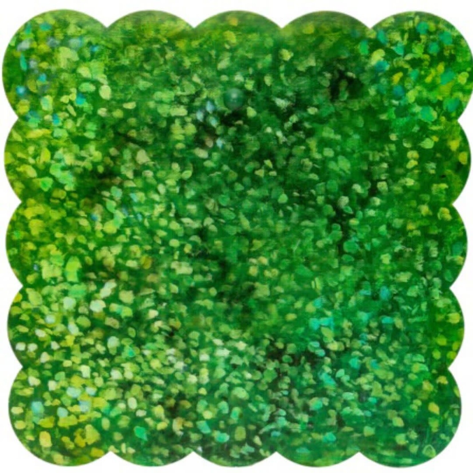 the round top collection boxwood scallop display board