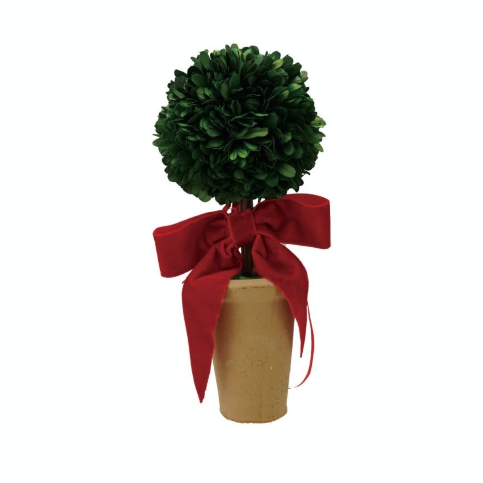 m. lynne designs dried boxwood topiary tree with pink velvet bow