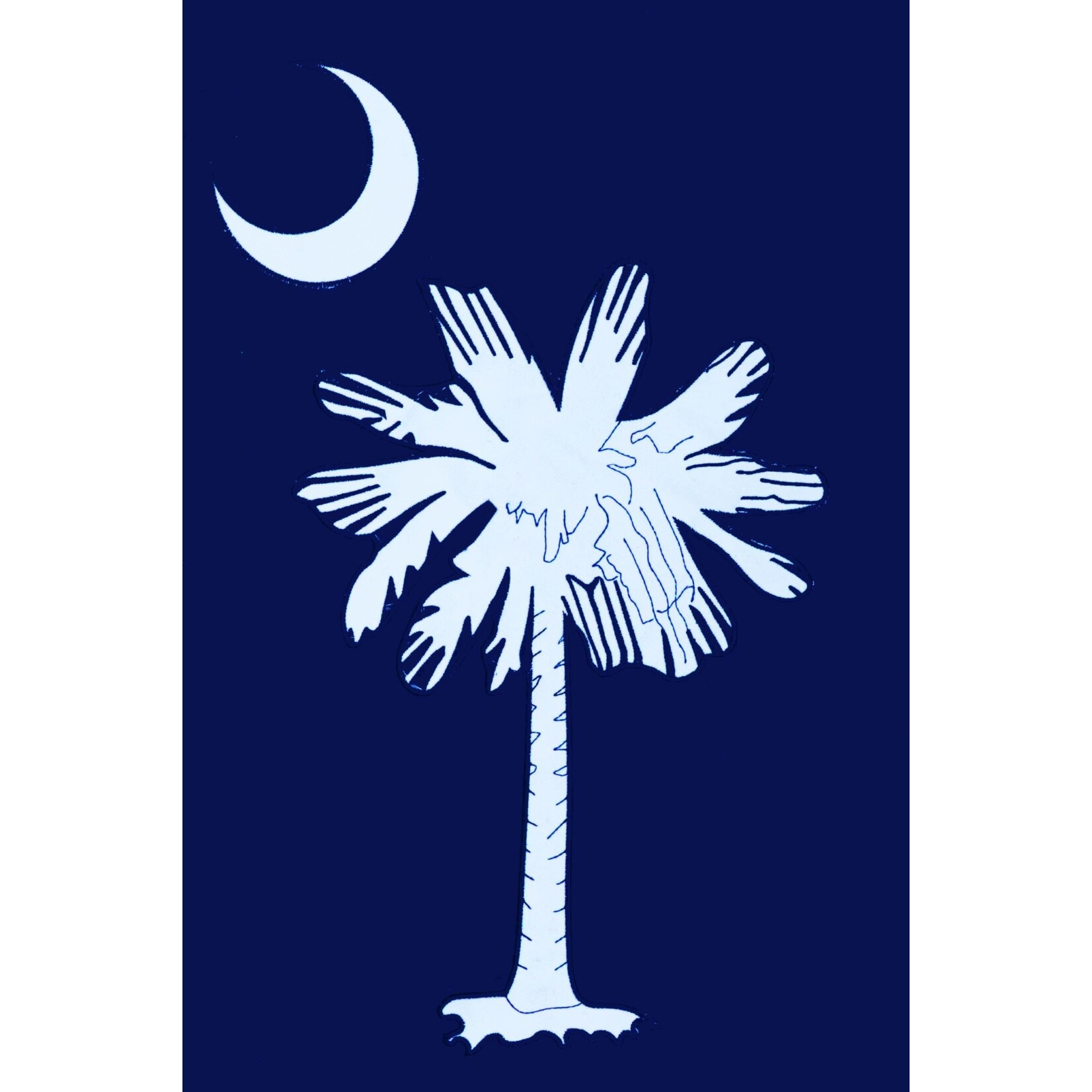 Applique Palmetto Garden Flag