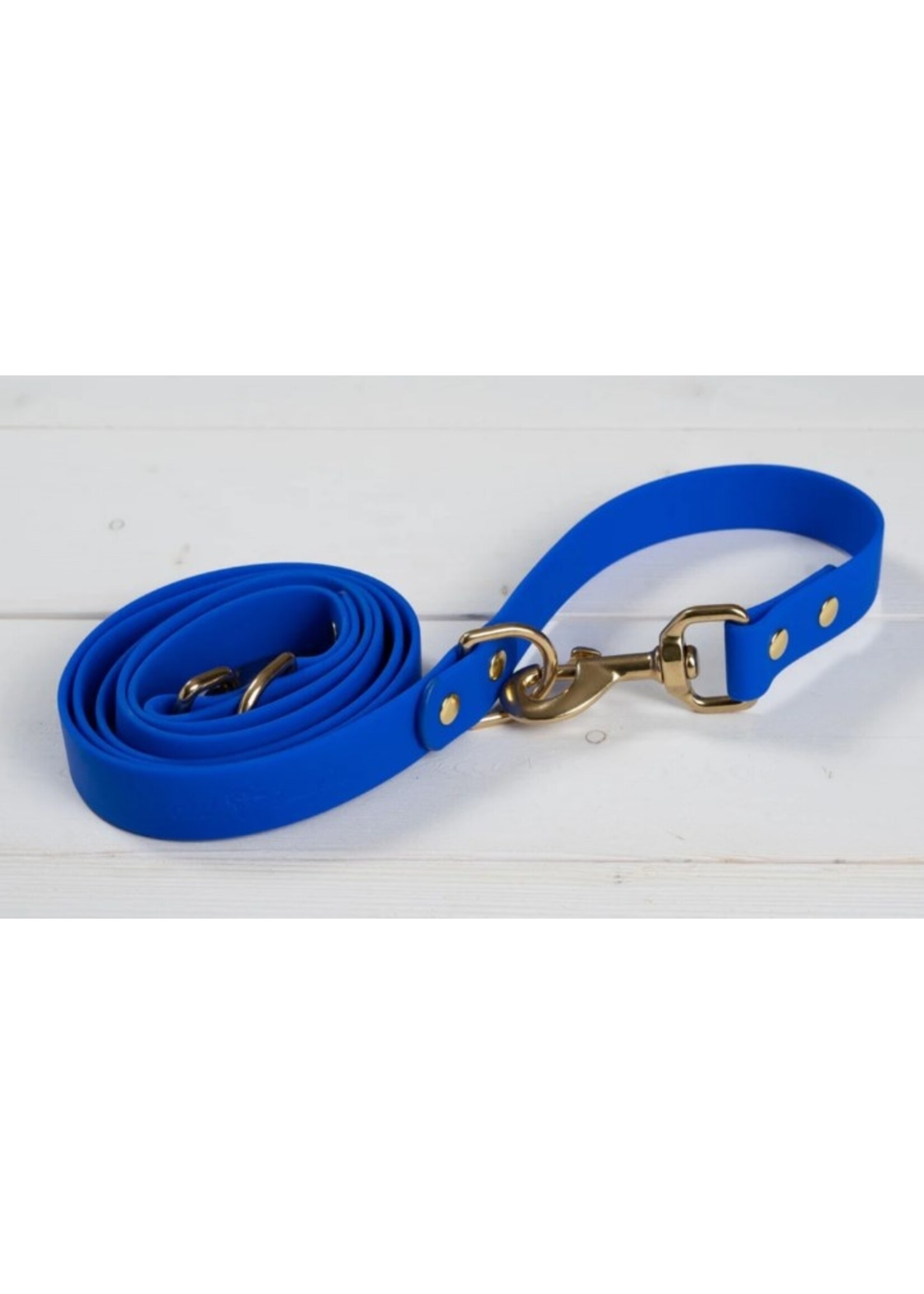 Old South Good Boy - Dog Leash