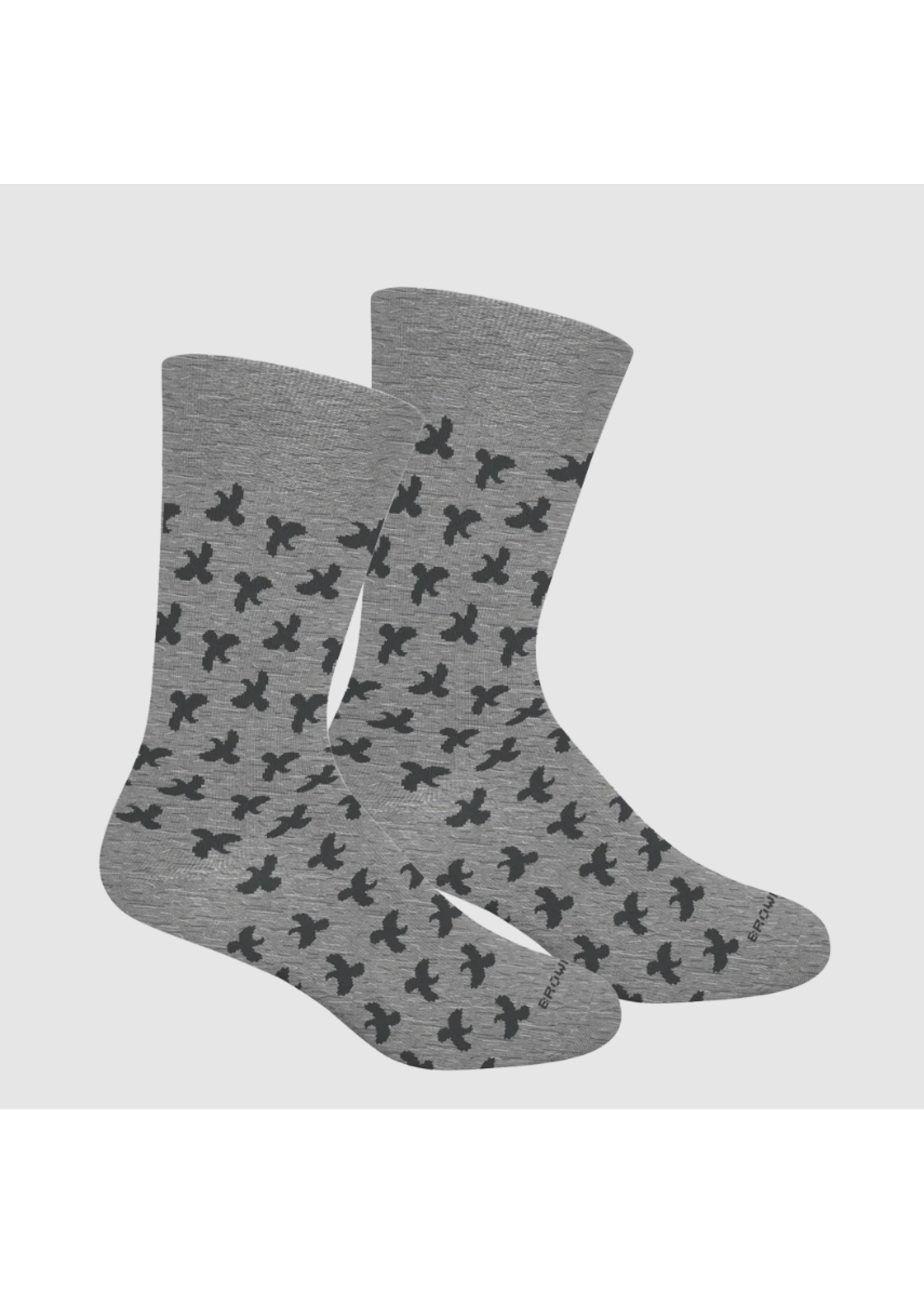 Brown Dog Miles Ridge - Light Grey