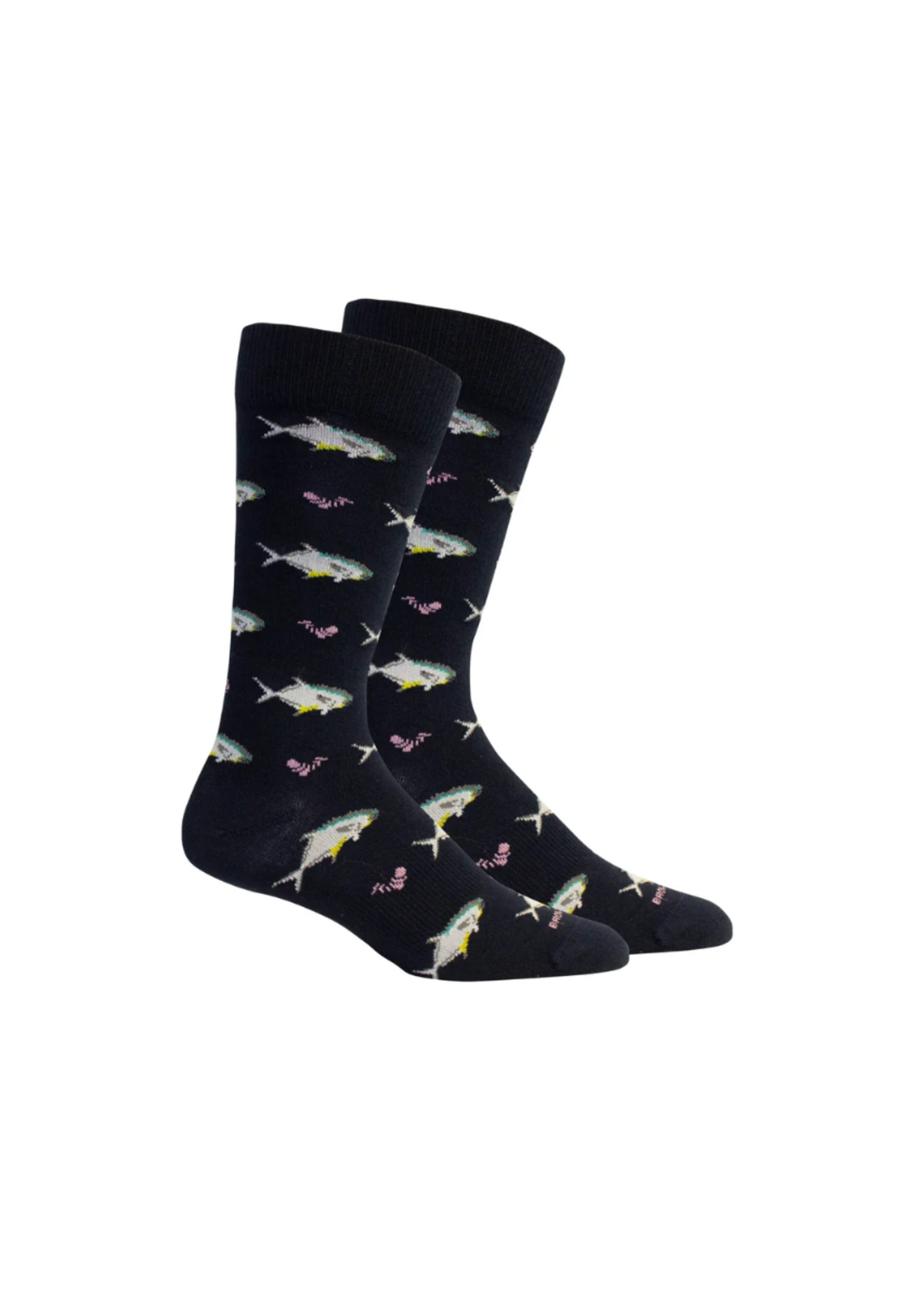 Brown Dog Duffy's Navy - Black