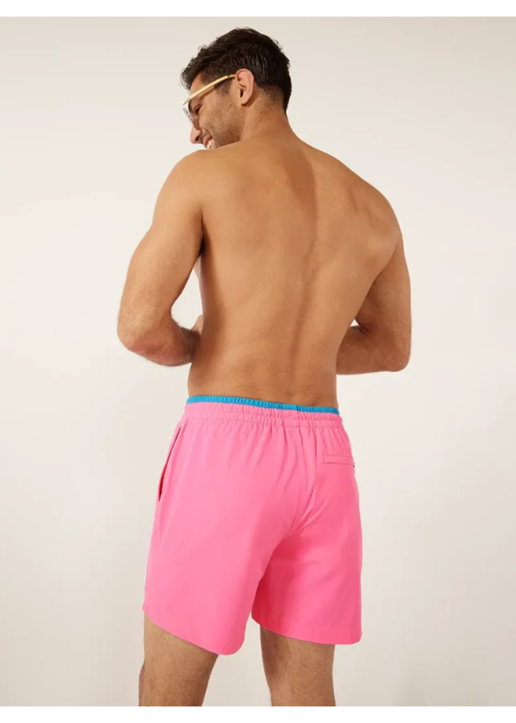 Chubbies The Avalons 5.5" Swim Trunk