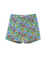 Chubbies Classic Swim Trunks 5.5"