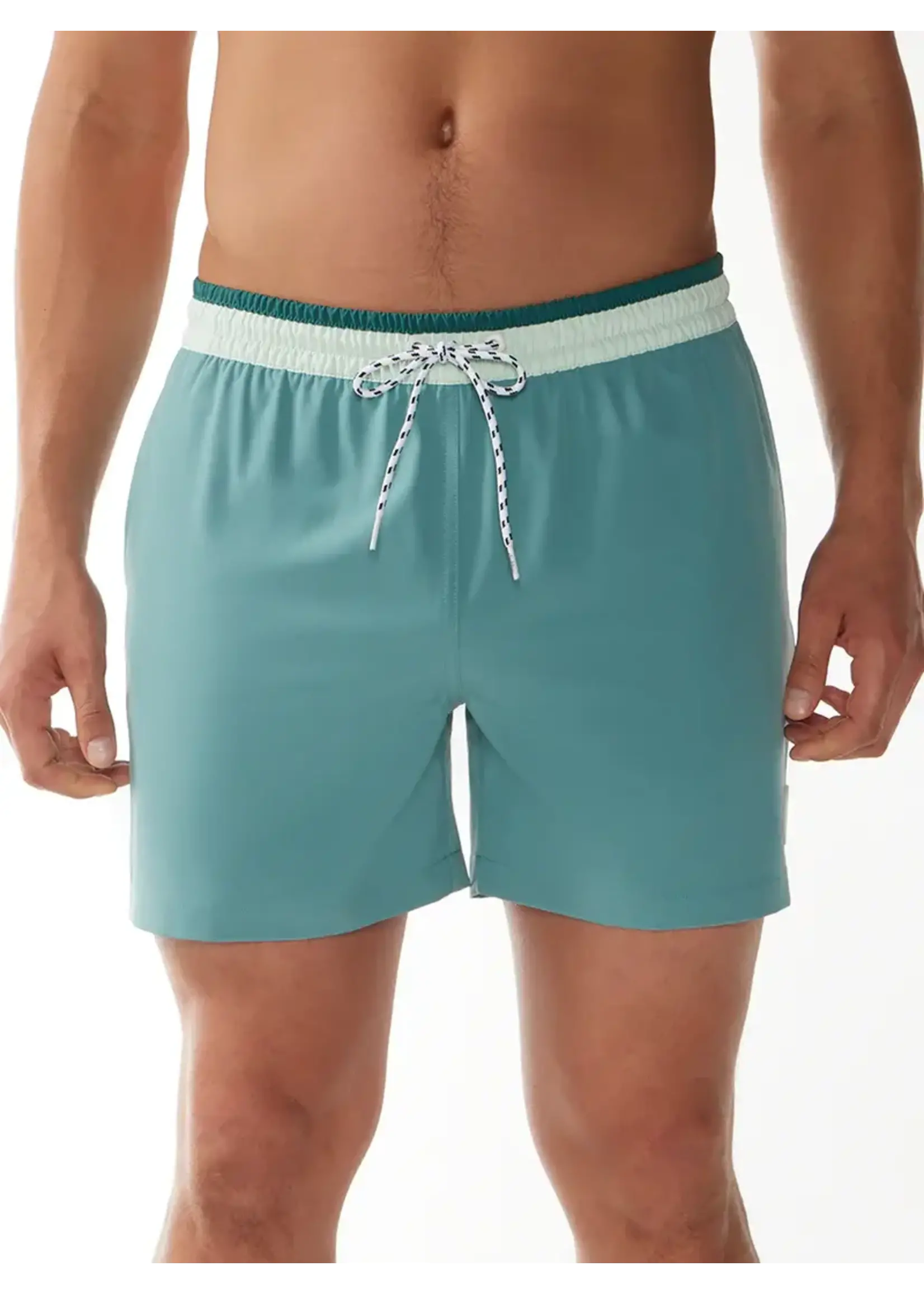 Chubbies Classic Swim Trunks 5.5"