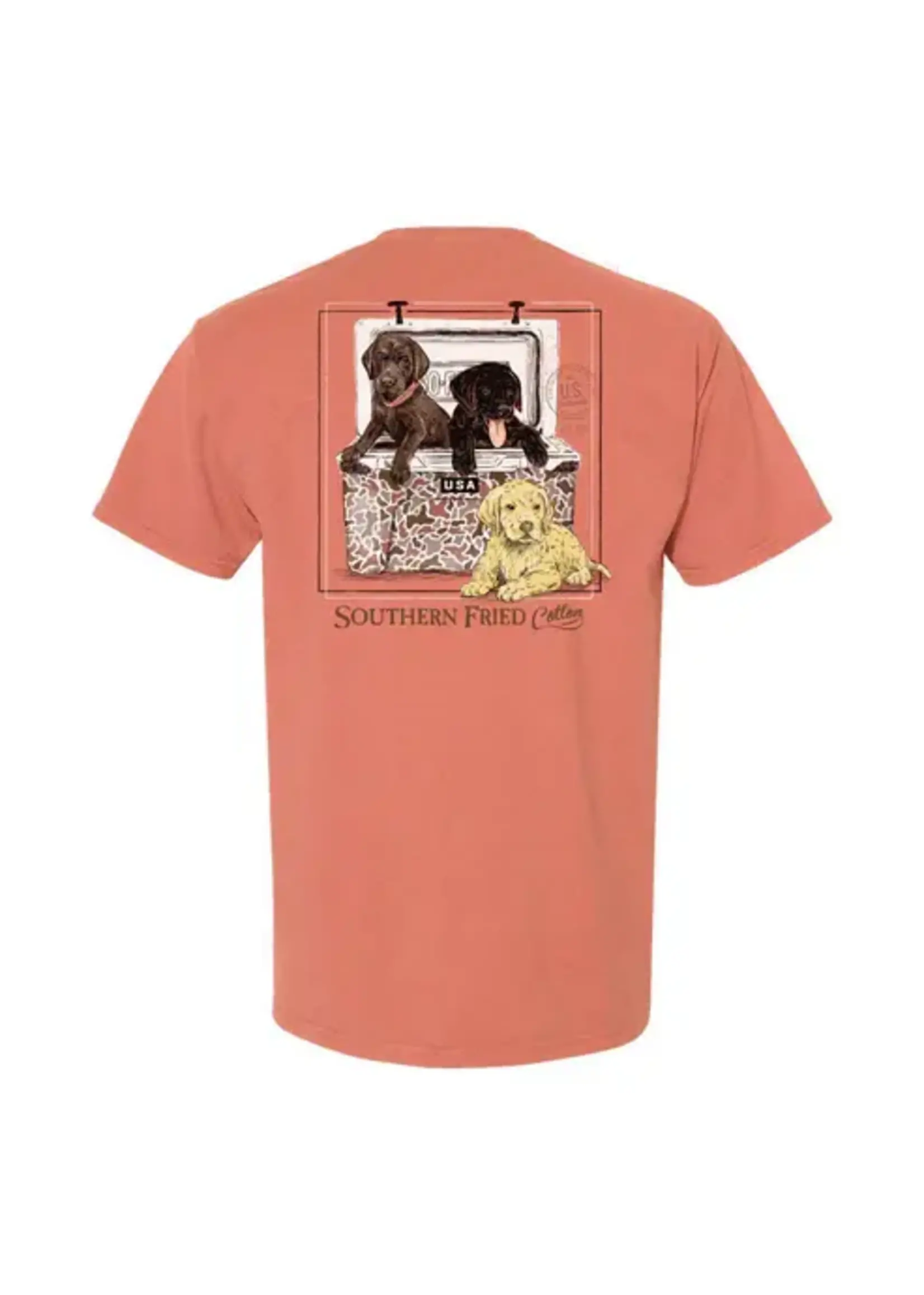 Southern Fried Cotton Murphy & Friends