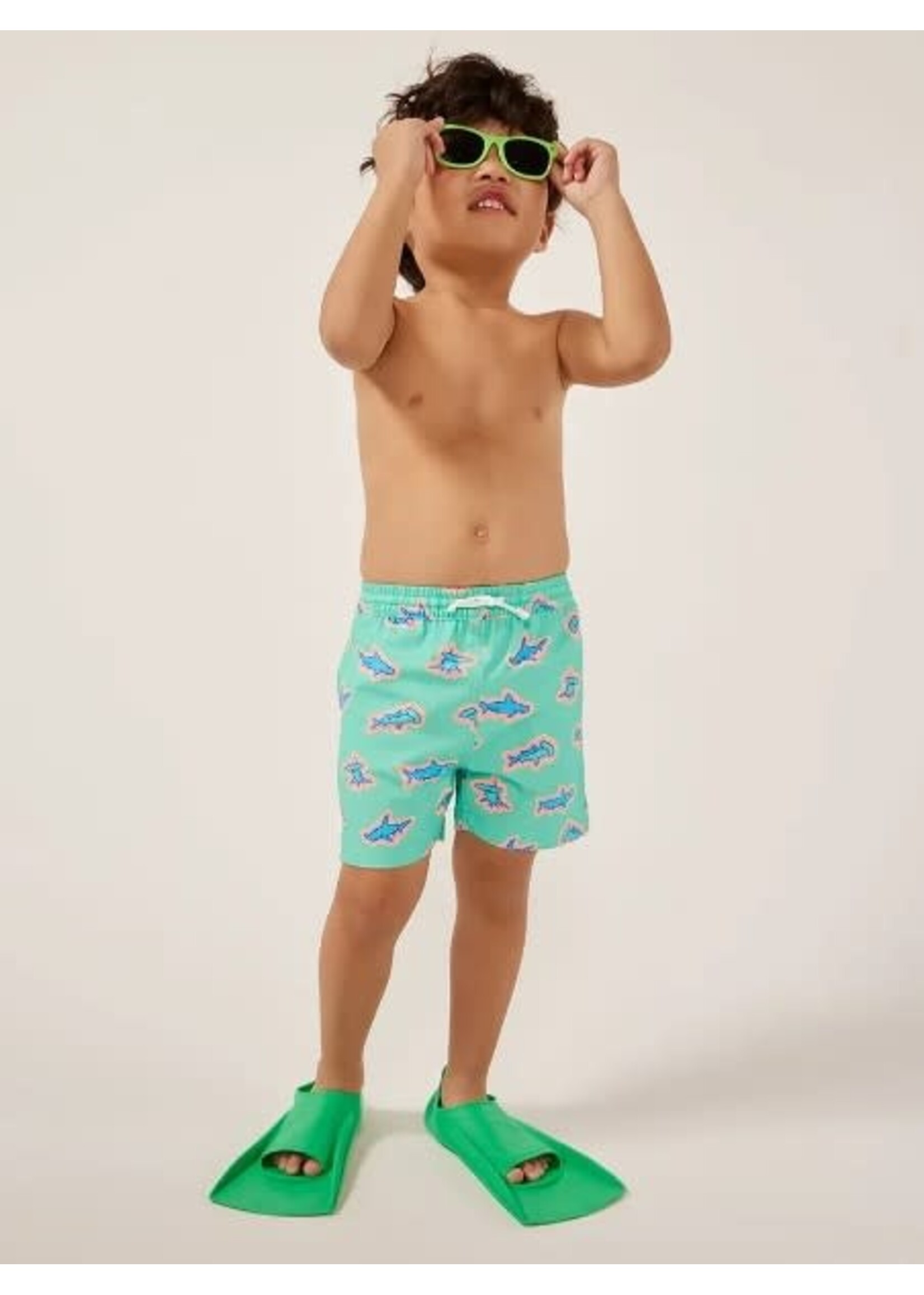 Chubbies The Lil Swimmers Swim Trunks