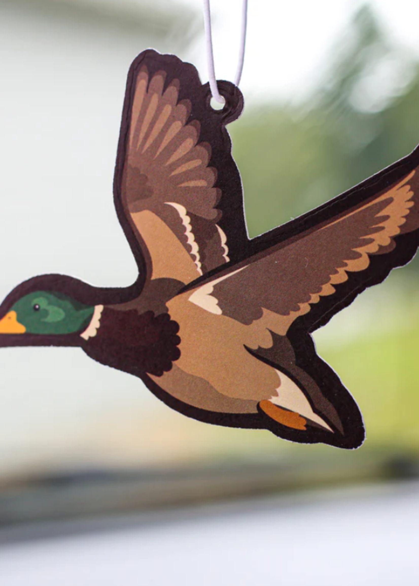 Scent South Scent South Air Fresheners