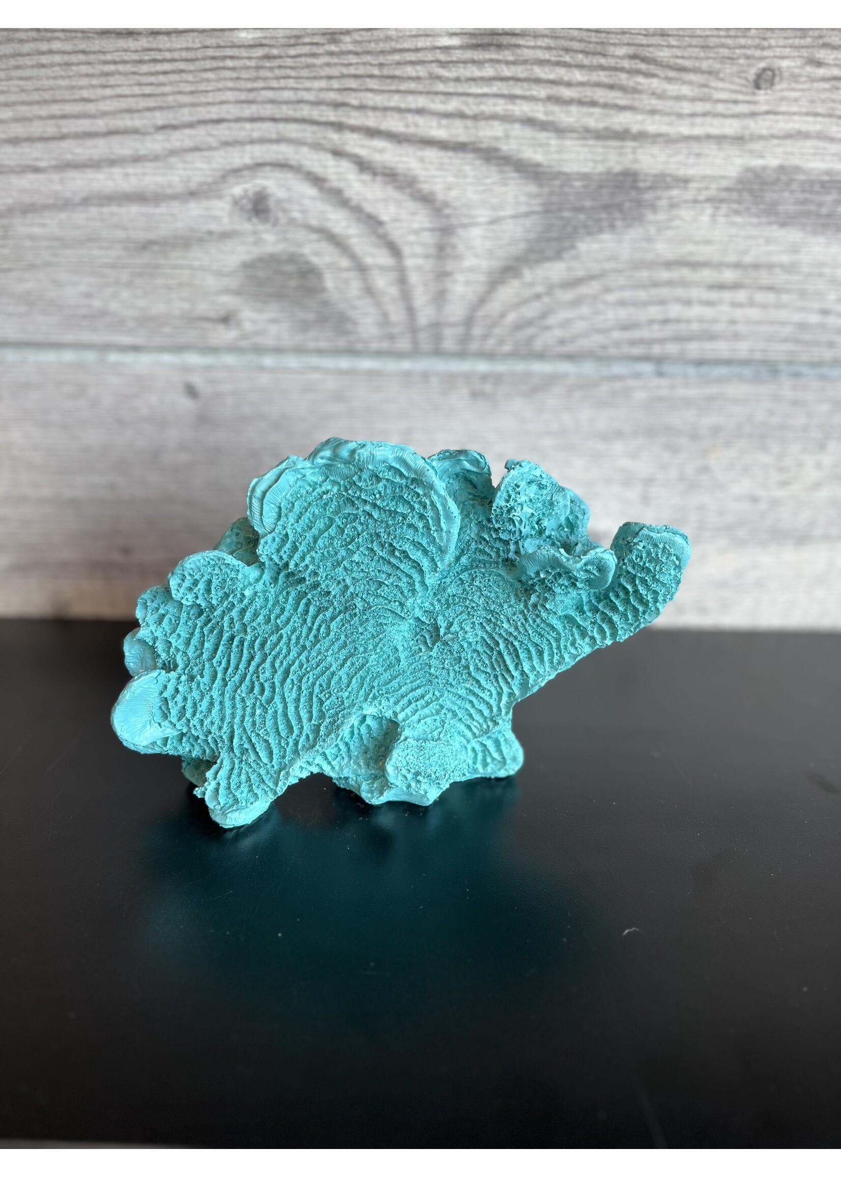 9" Teal Coral