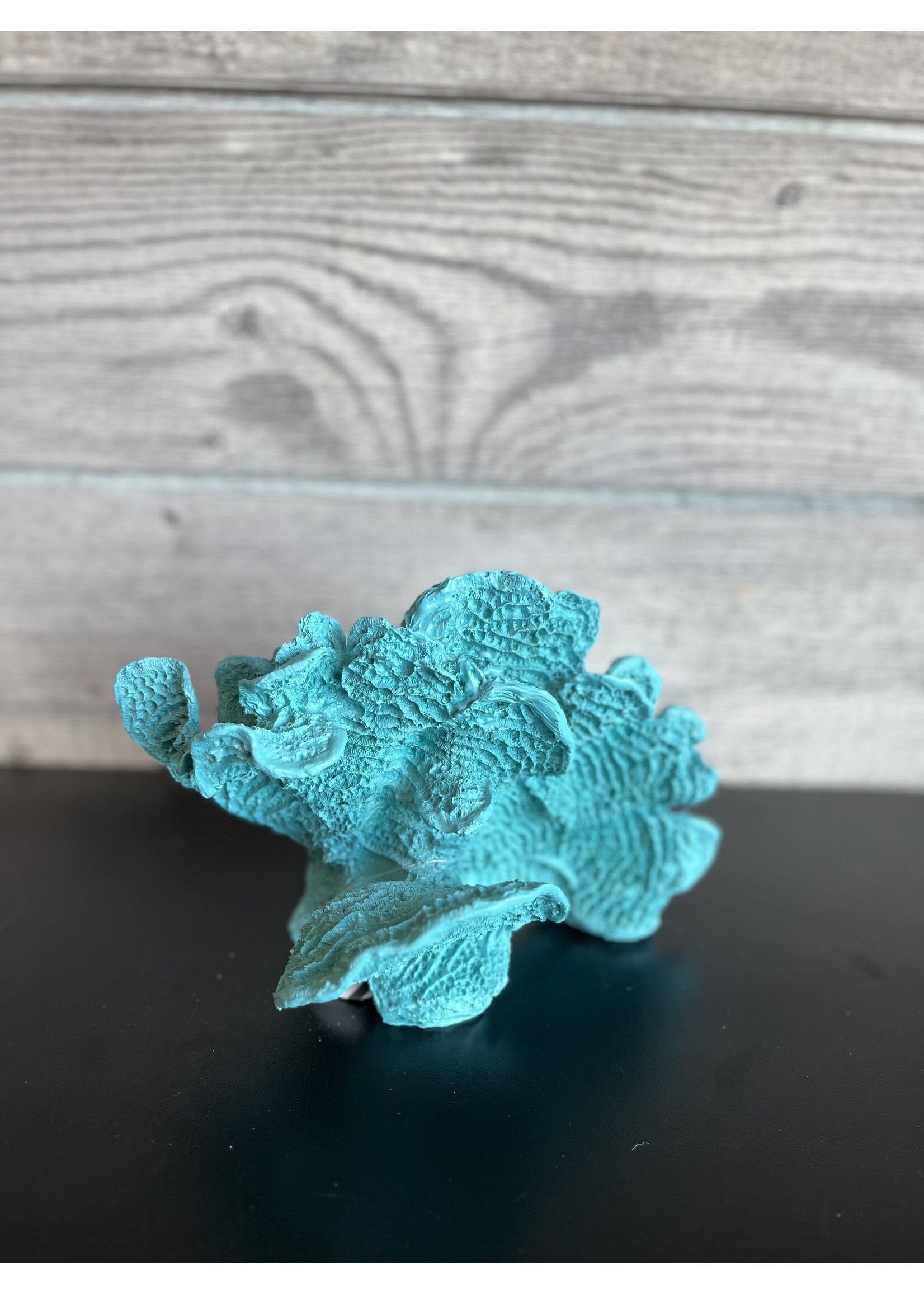 9" Teal Coral