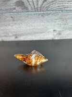 4-3/4" Glass Shell