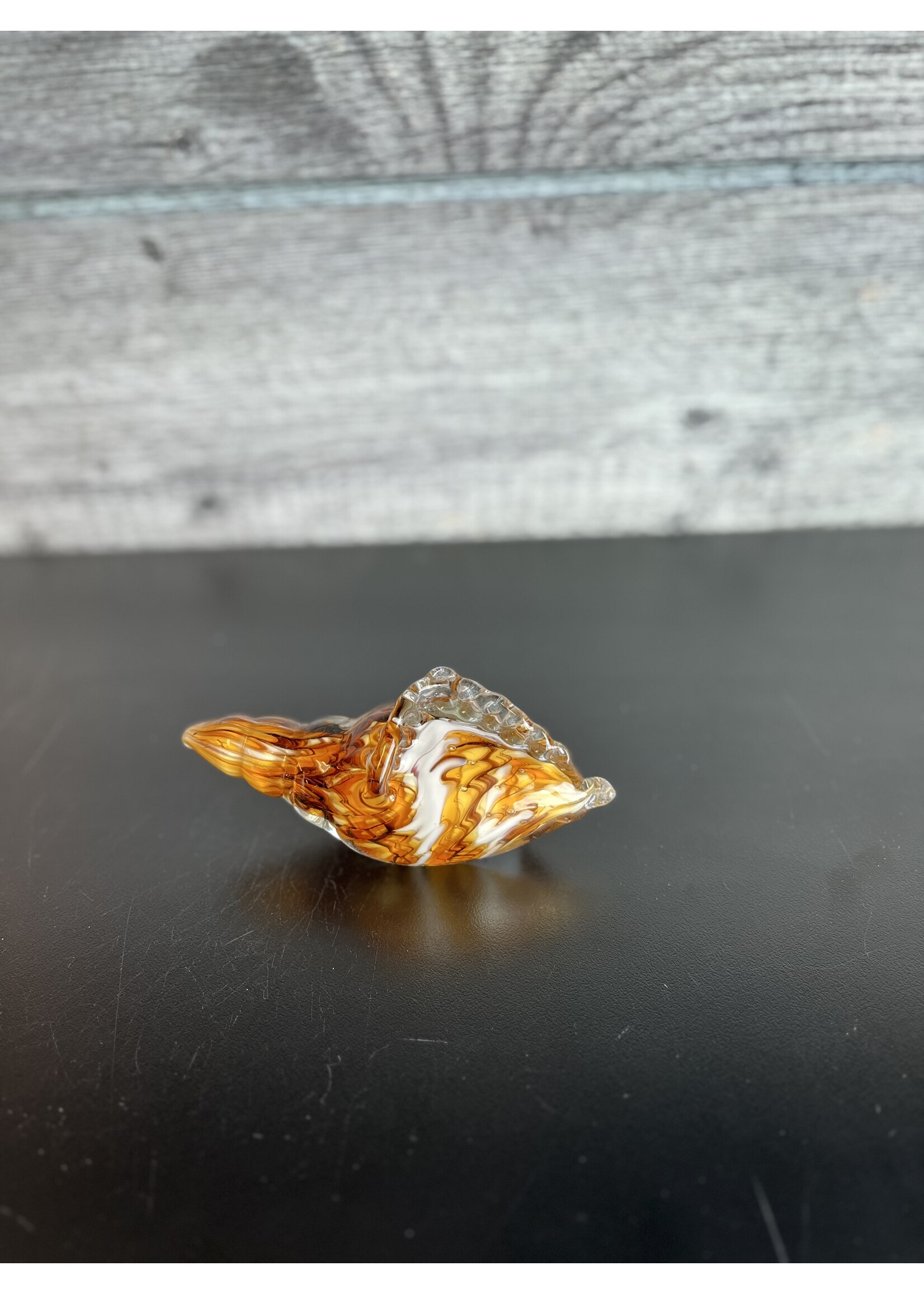 4-3/4" Glass Shell