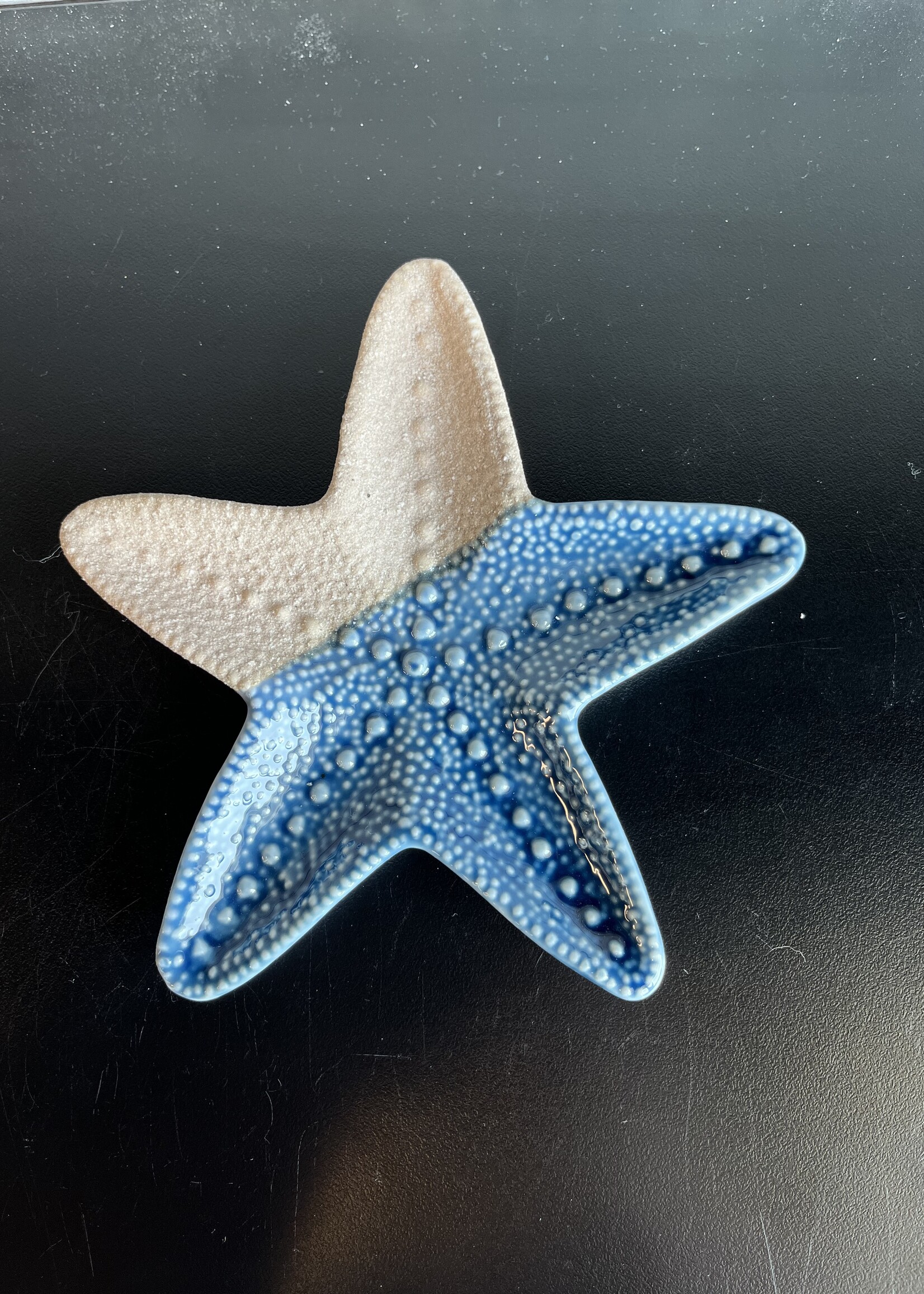 6 1/2" Blue Starfish Plate