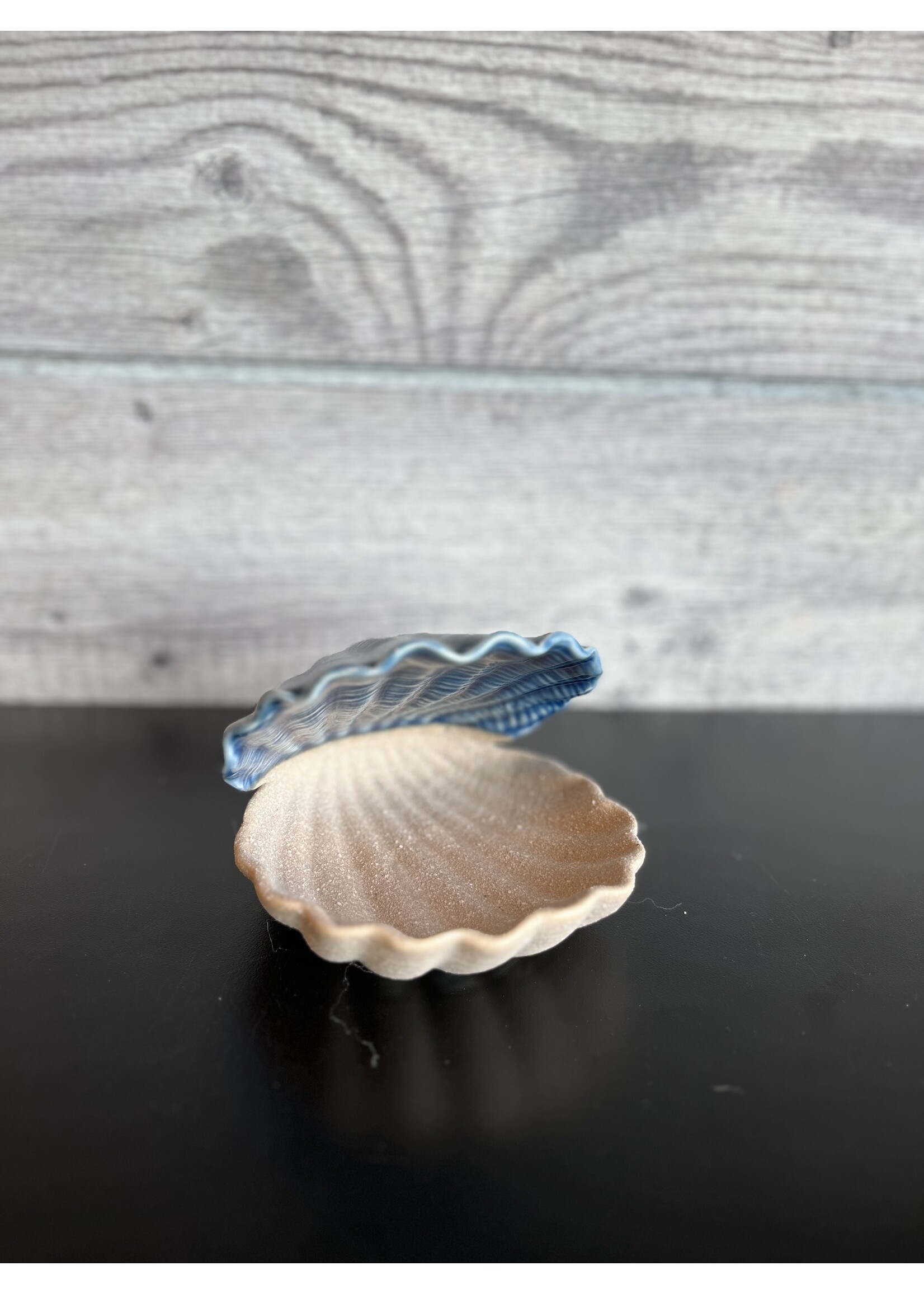 5" Shell Jewelry Holder