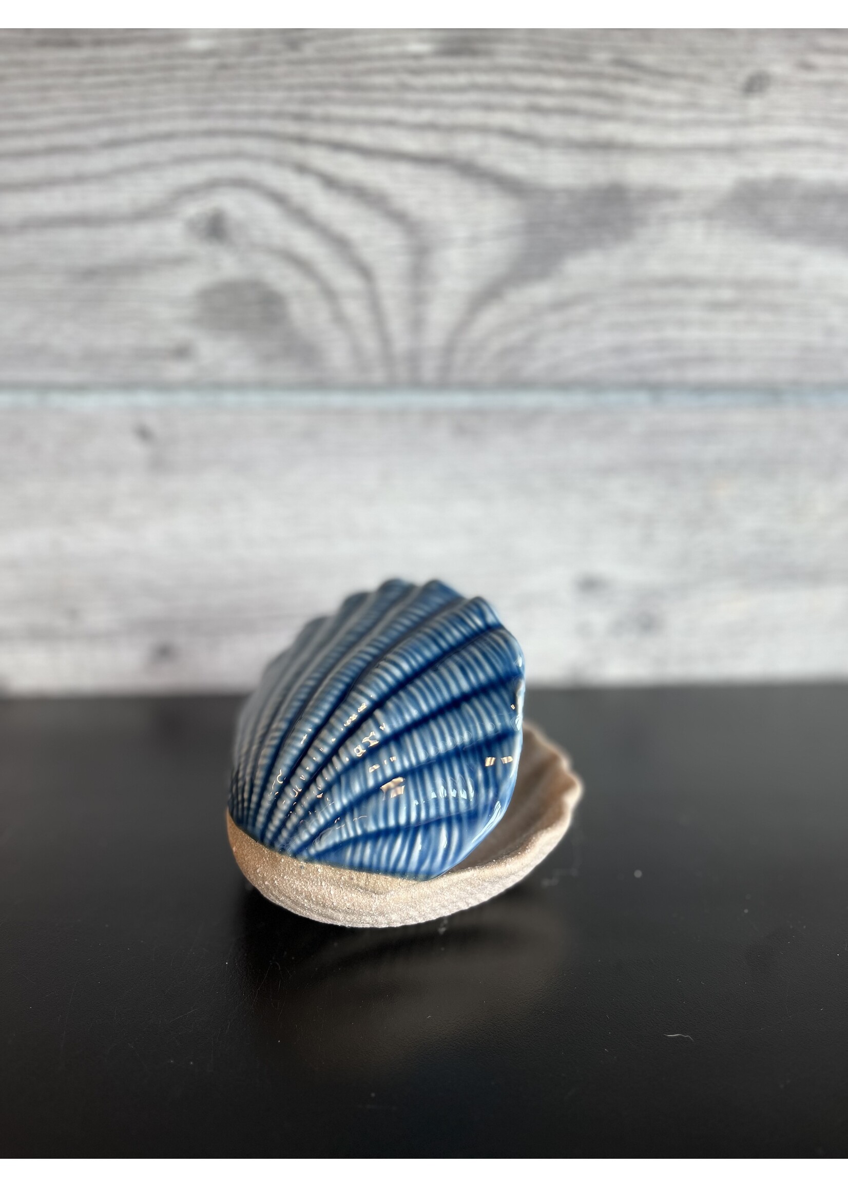 5" Shell Jewelry Holder