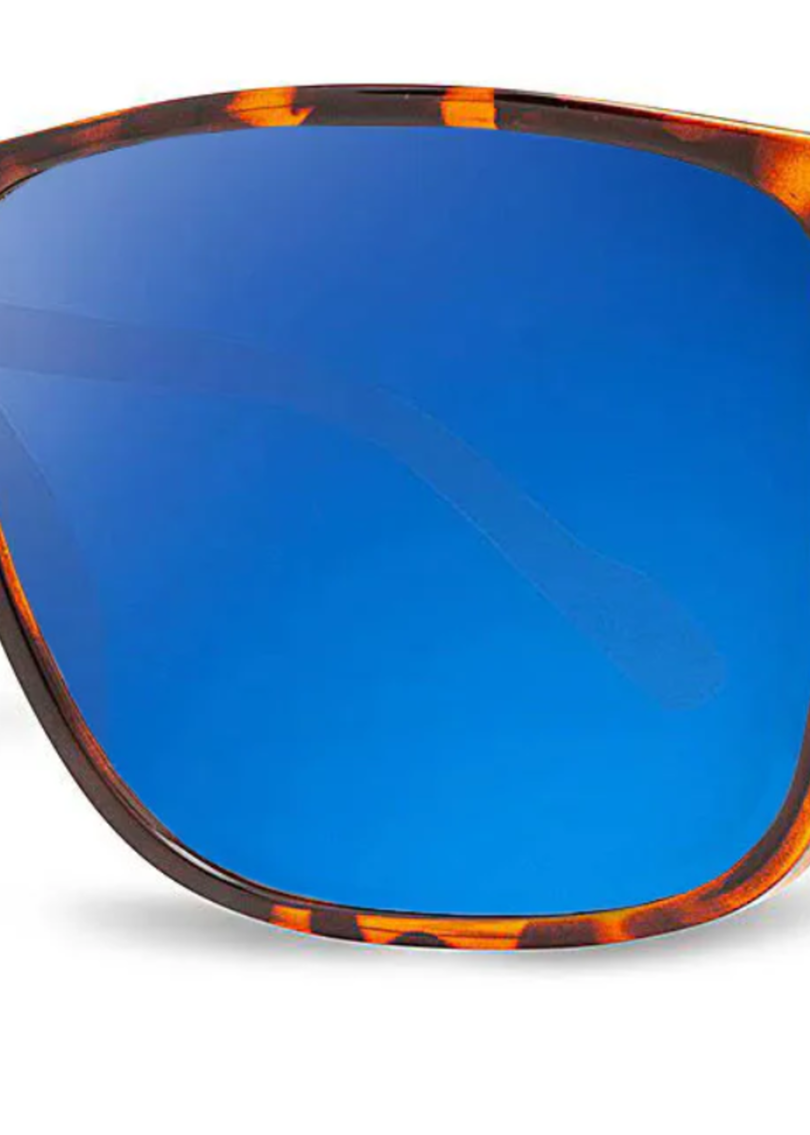 Jesse - Tortoise/Deep Blue