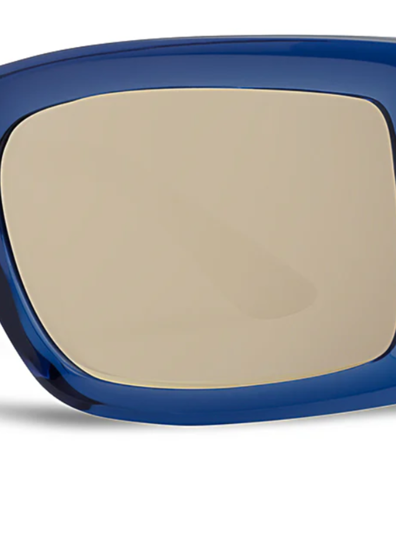 Vizcaya Sunglasses -