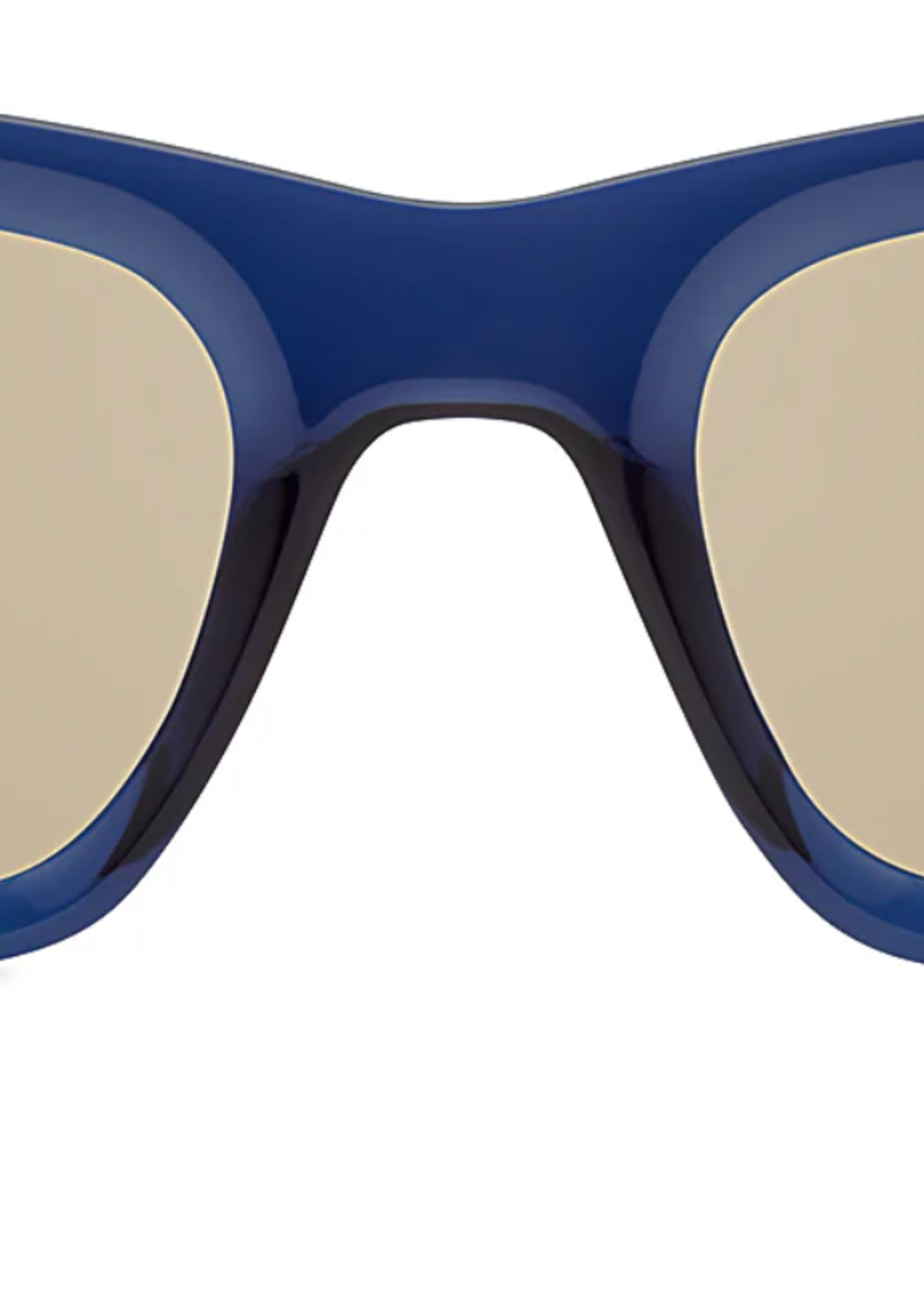 Vizcaya Sunglasses -