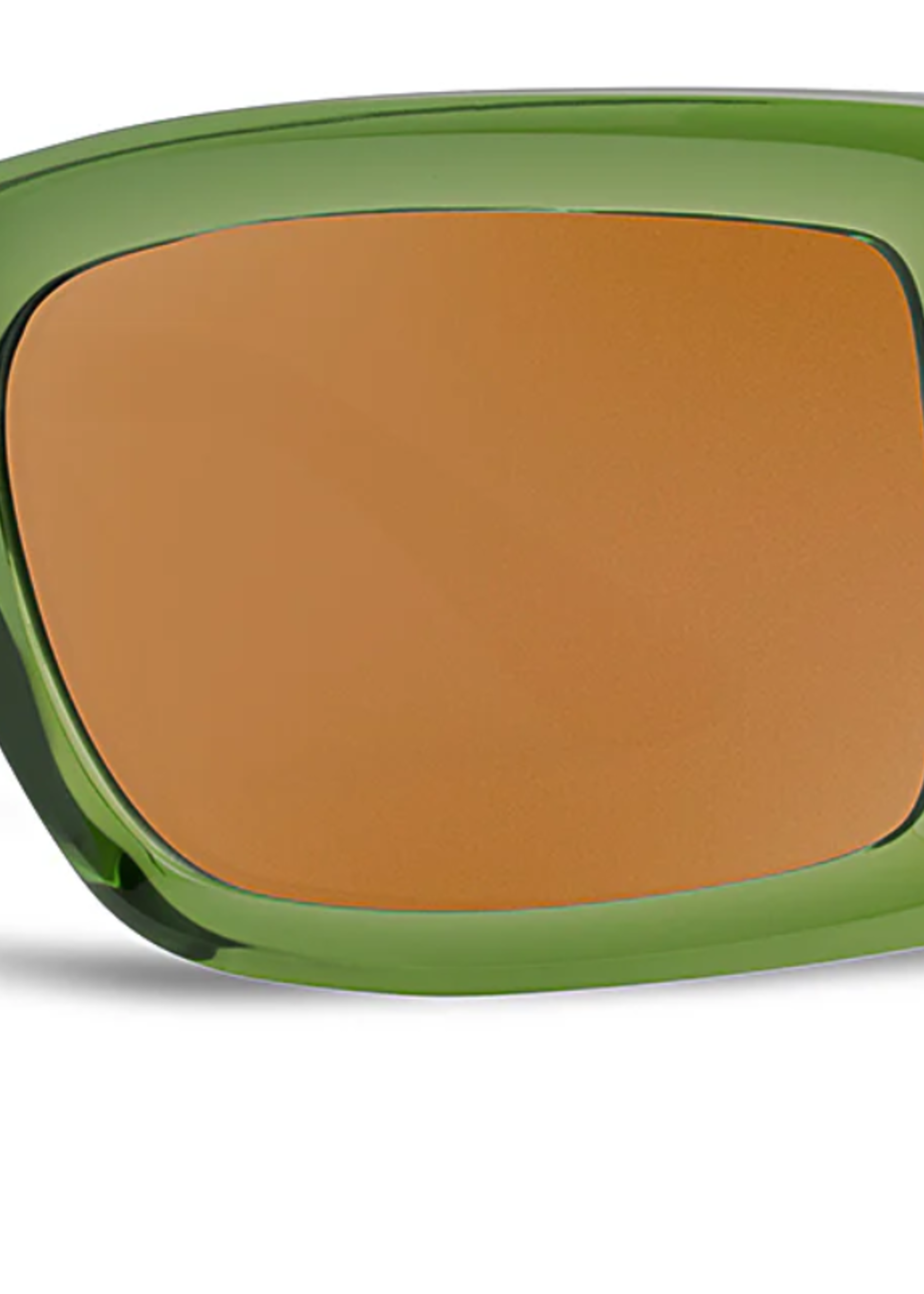 Vizcaya Sunglasses -