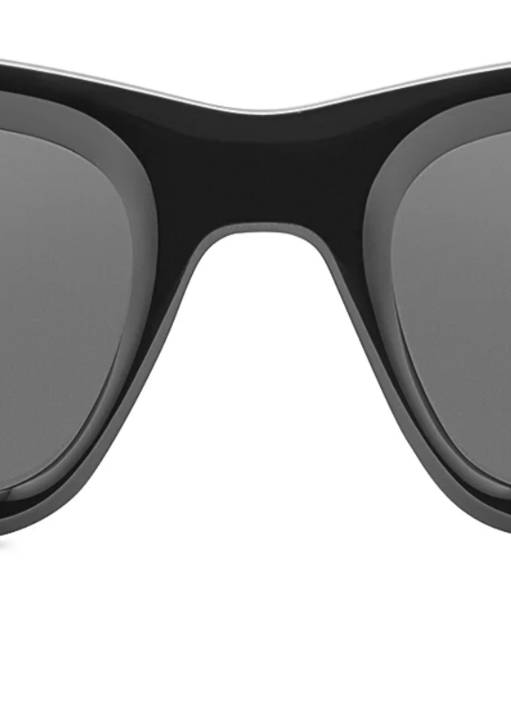 Vizcaya Sunglasses -