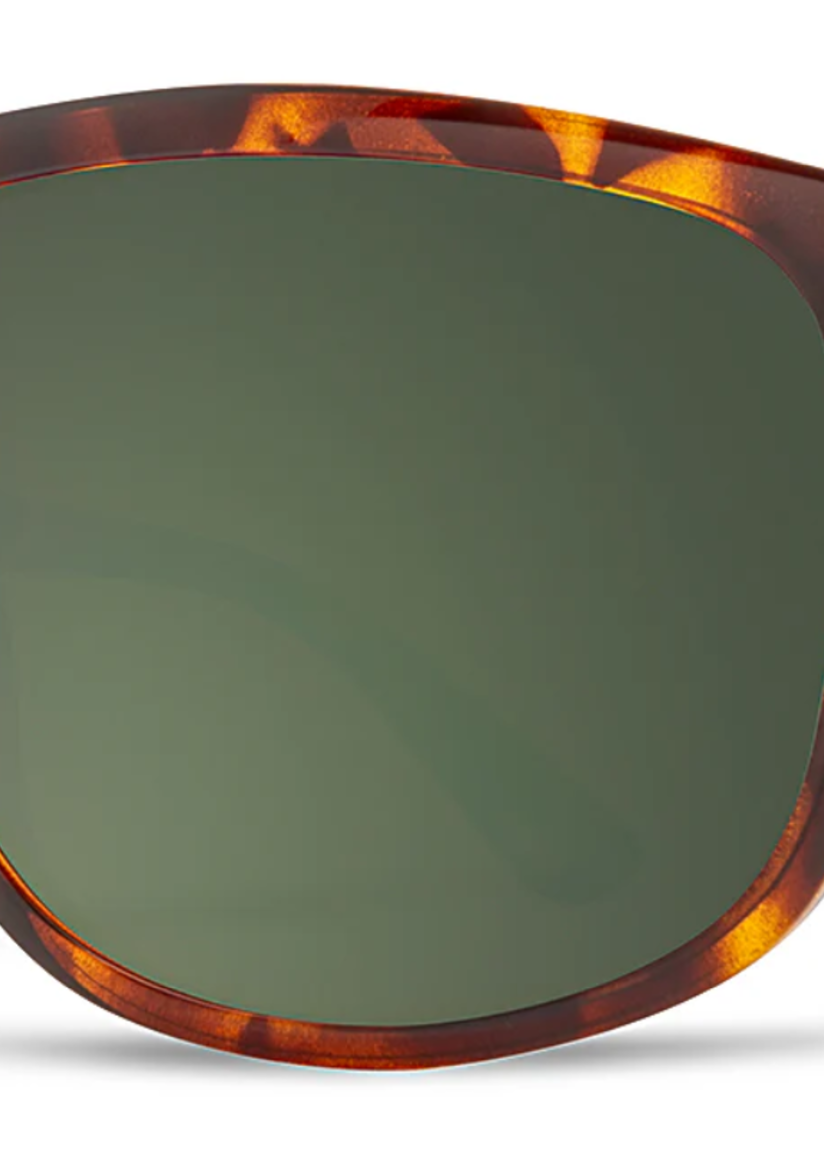 Jordan Sunglasses -