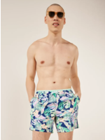 Chubbies The Night Faunas