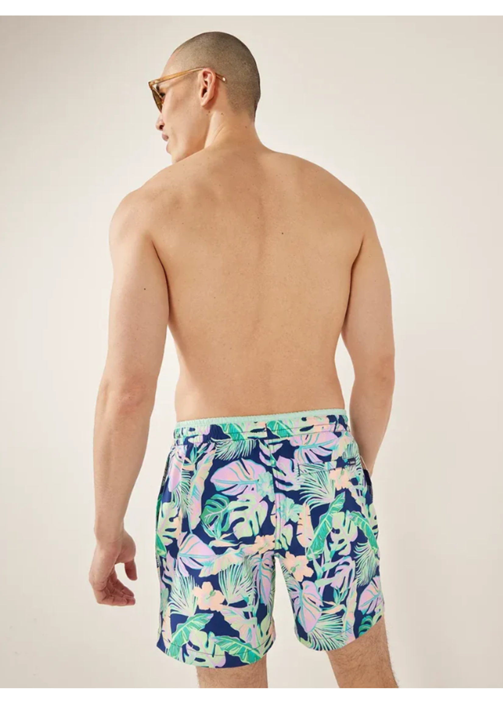 Chubbies The Night Faunas