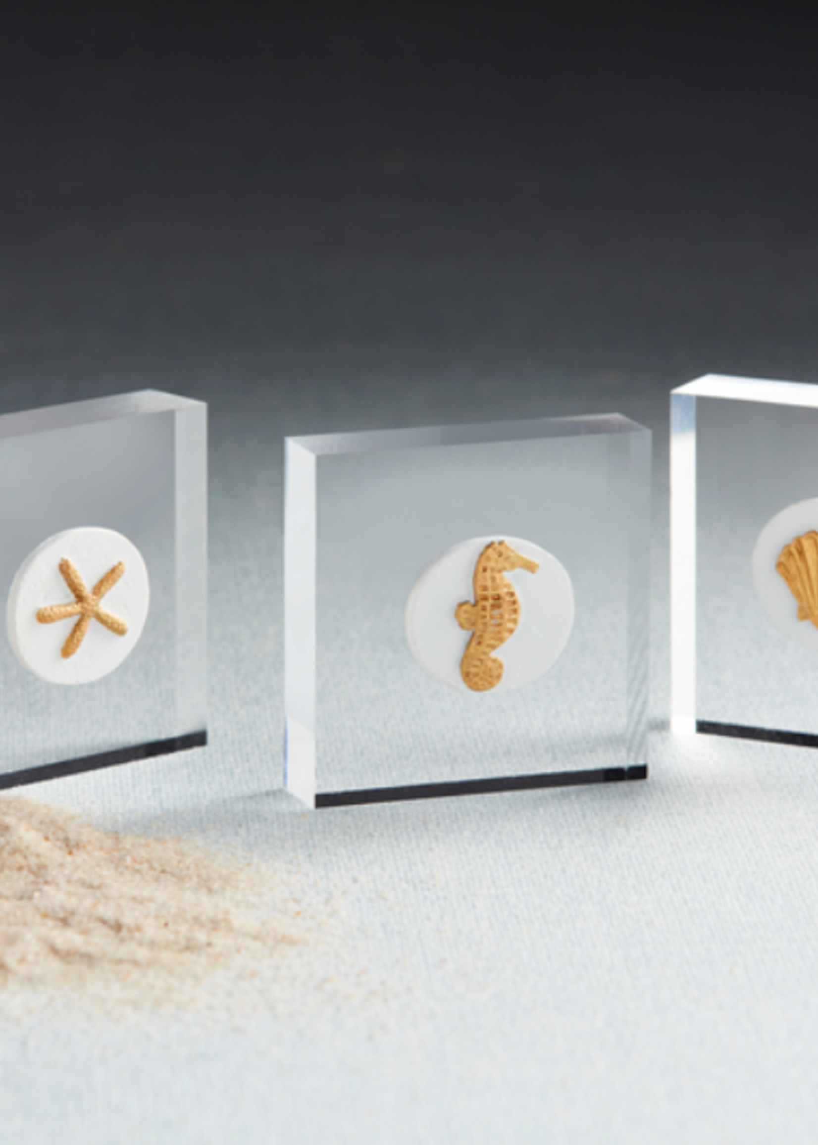 Mud Pie Mini Acrylic Sitters