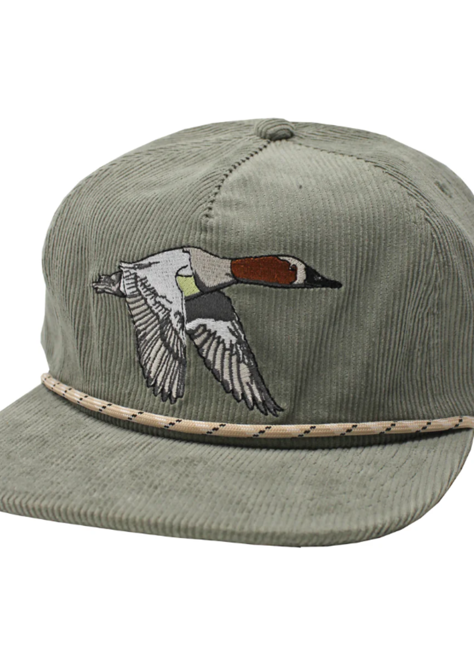 Local Boy Canvas Back Corduroy Hat - Agave