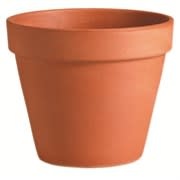 Deroma Deroma 5.9" Terra Cotta Standard Clay Pot