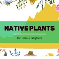 Native Plants: Our Greenest Neighbors