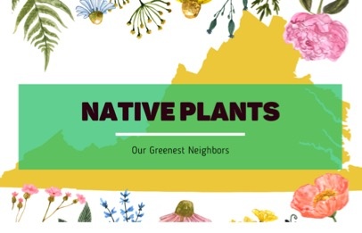 Native Plants: Our Greenest Neighbors