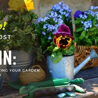 Dig In: Tips for getting your garden spring ready!