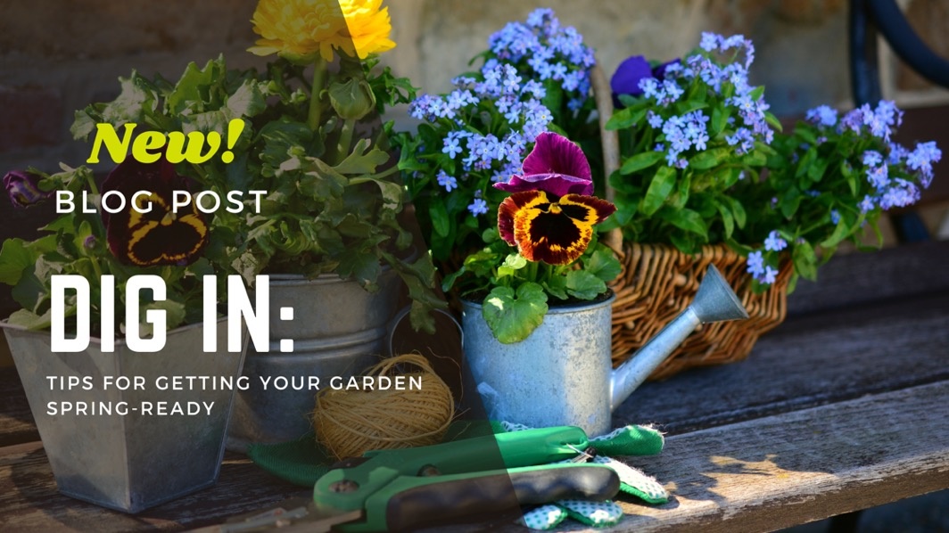 Dig In: Tips for getting your garden spring ready!