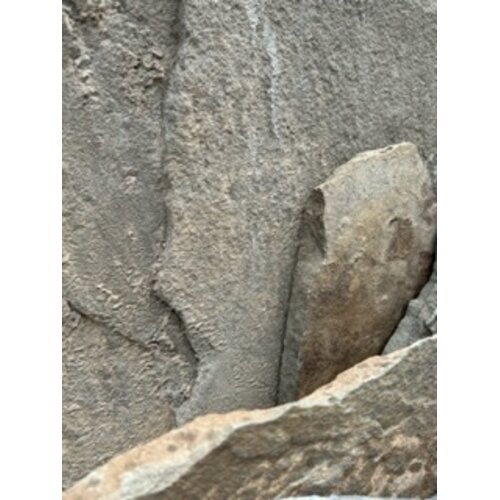 PA Irregular Flagstone Stand-up, Full Color 1"