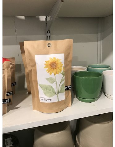 Garden in a bag Mini Sunflower