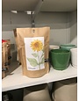 Garden in a bag Mini Sunflower