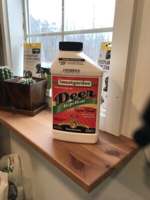 I Must Garden I Must Garden Deer Repellent Concentrate Spice Scent 32oz