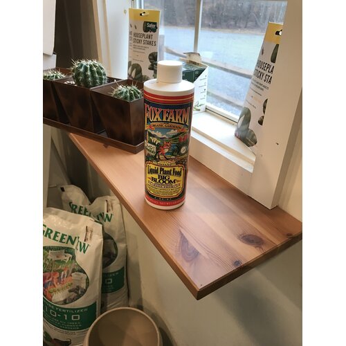 Fox Farm FoxFarm Big Bloom Liquid Plant Food 1pt