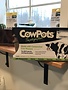 Summit CowPot #3 Six Cell 3ct