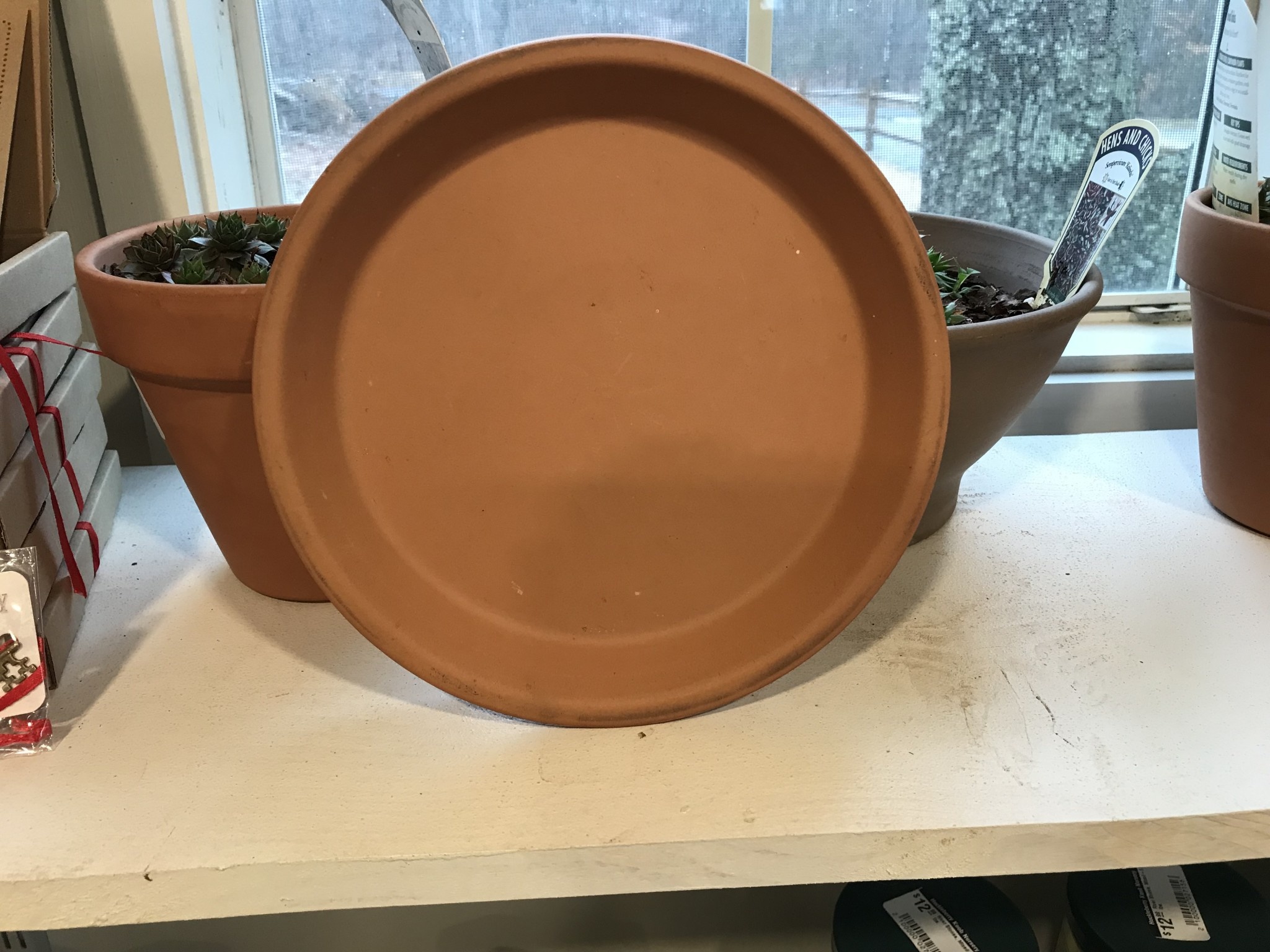 Deroma Deroma 8.3" Terra Cotta Clay Saucer