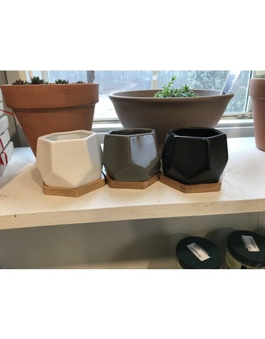 Planter, 3.5 Mini Pentagon Pot & Bamboo Saucer