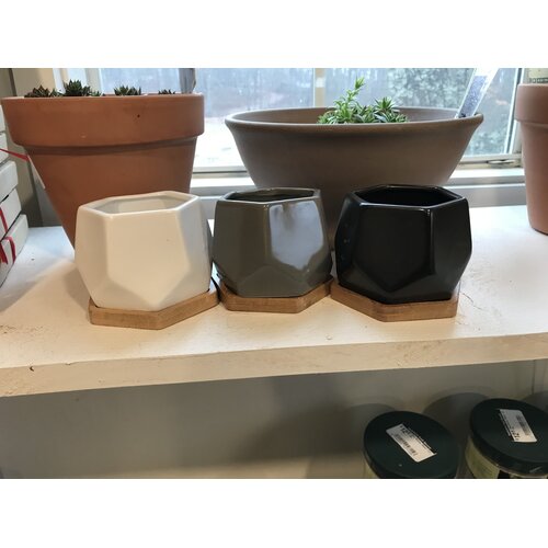 Planter, 3.5 Mini Hexagon Pot & Bamboo Saucer