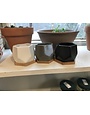 Planter, 3.5 Mini Hexagon Pot & Bamboo Saucer