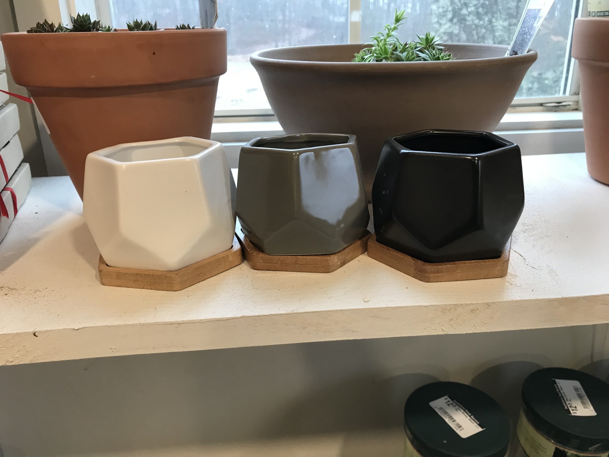 Planter, 3.5 Mini Hexagon Pot & Bamboo Saucer