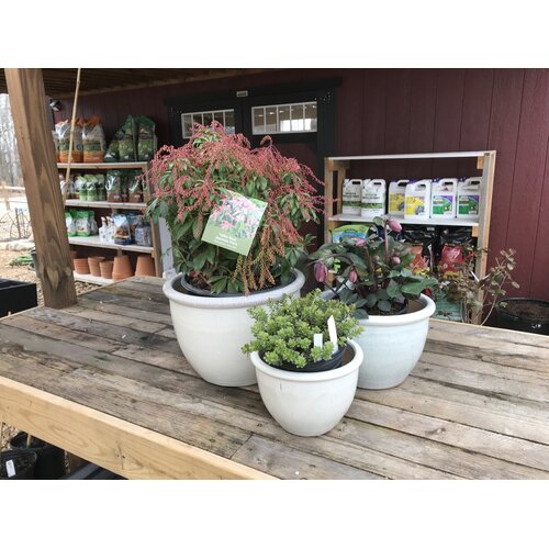 Planter, Jaya Pot, White, Medium, 12"
