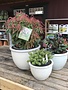 Planter, Jaya Pot, White, Medium, 12"
