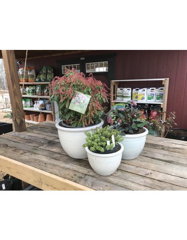 Deroma 4.3 Terra Cotta Clay Saucer - Huckleberry Knob Nursery