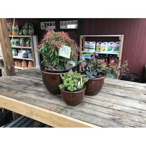 Planter, Jaya Pot, Brown, Medium, 12"